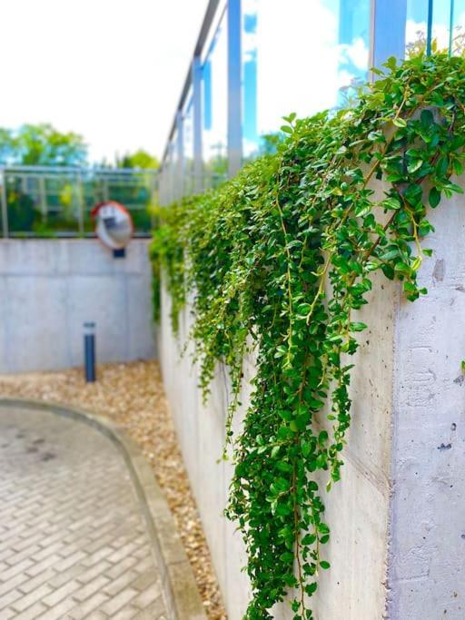 Apartamento Smart Art :) Z Bezplatnym Parkingiem Podziemnym Kielce Exterior foto