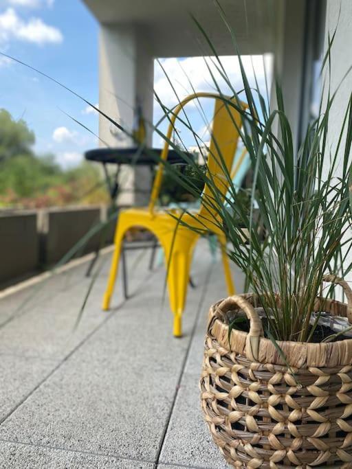 Apartamento Smart Art :) Z Bezplatnym Parkingiem Podziemnym Kielce Exterior foto