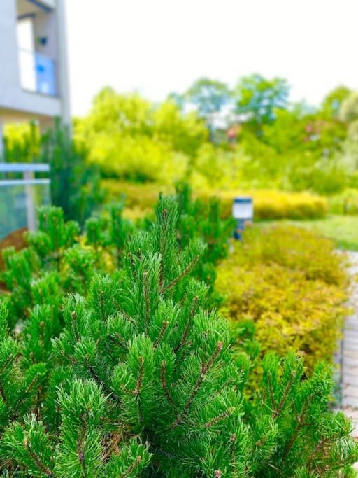 Apartamento Smart Art :) Z Bezplatnym Parkingiem Podziemnym Kielce Exterior foto
